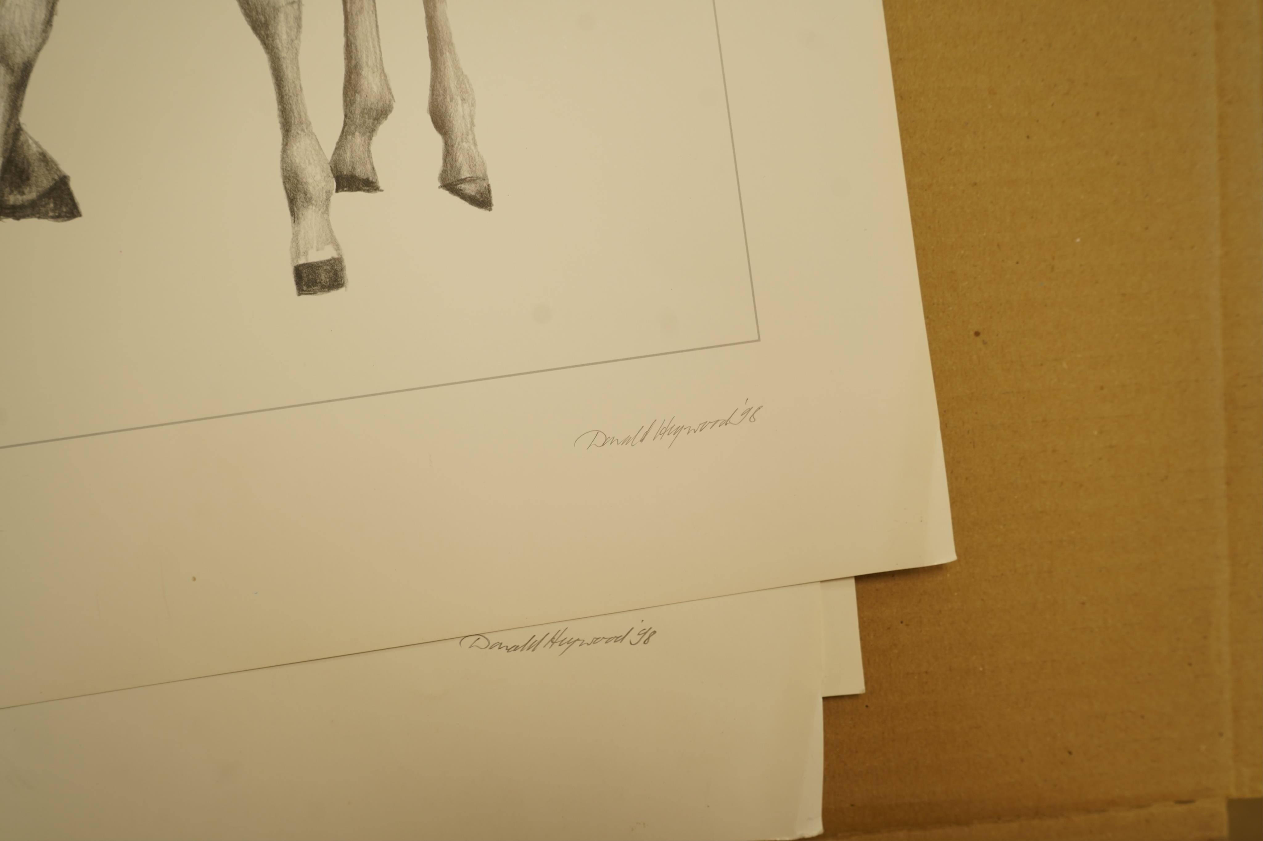 Donald Heywood (b.1944), eleven prints, each signed in pencil to include: ‘Leopard drinking’, ‘Lion portrait’ and ‘Lion cub’, unframed, largest 68 x 48cm